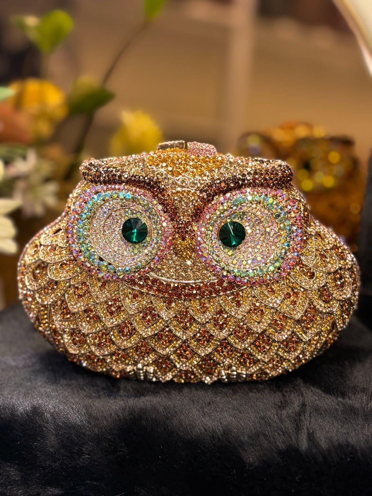 Owl new