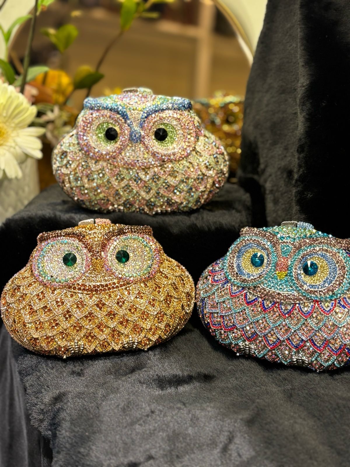 Owl new
